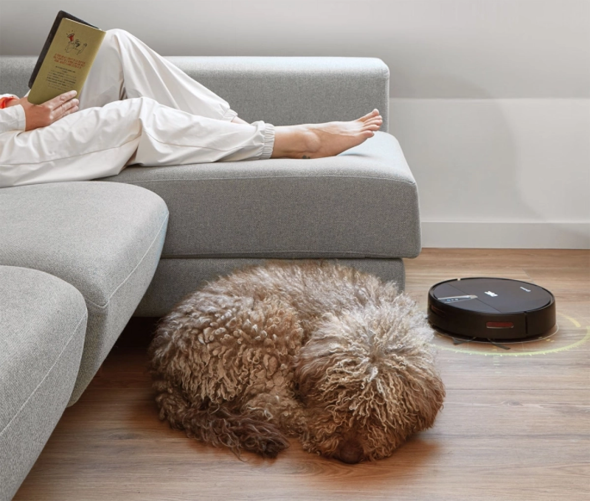 Imagen Categoría Aspiradores eco